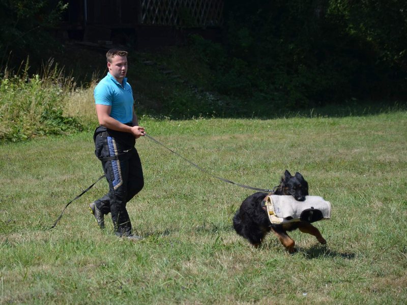 výcvik 2