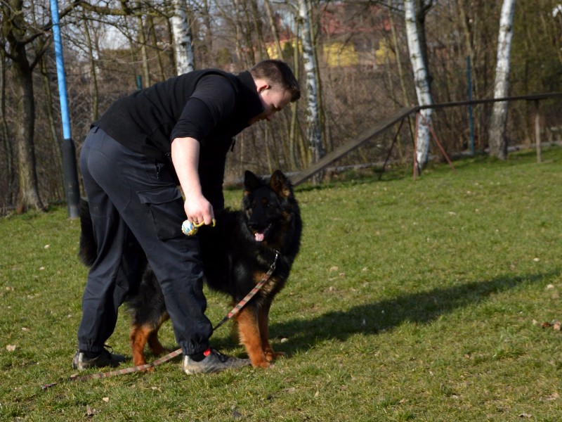 výcvik 4